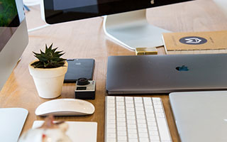 上海蛮啾网络科技有限公司怎么样（蓝色星原公司是谁）